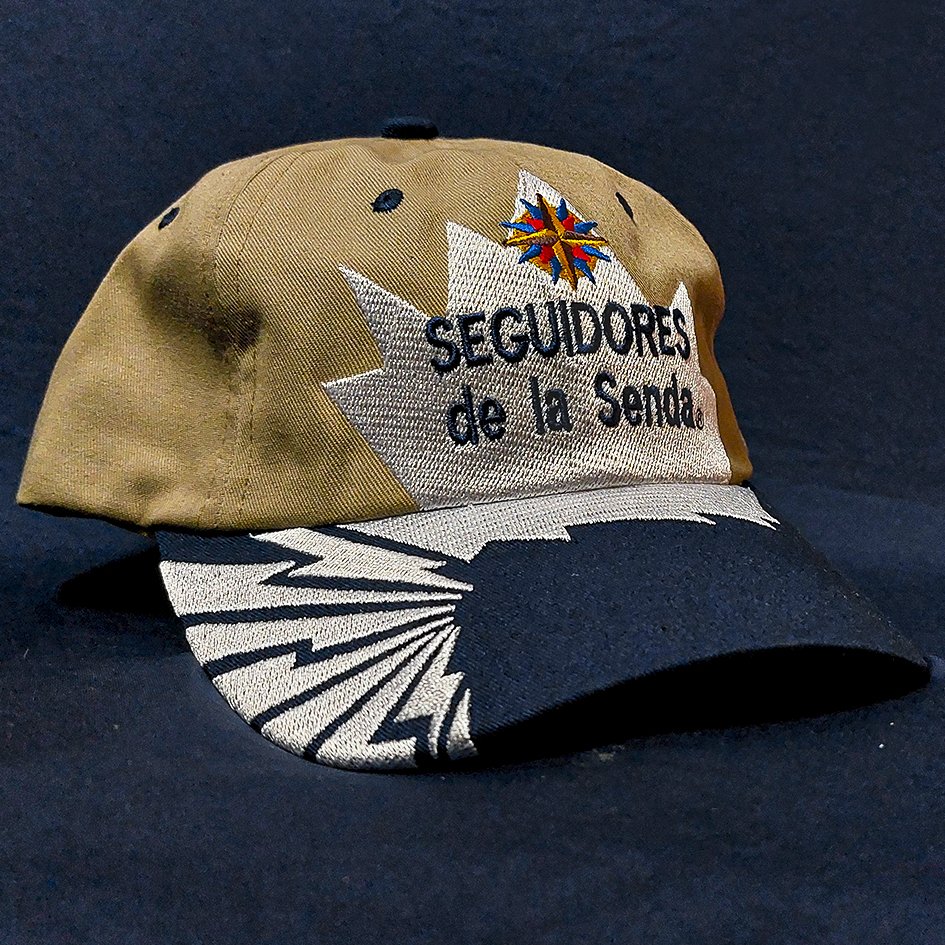 Gorra Seguidores