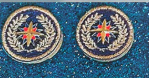 PIN LIDER REGIONAL